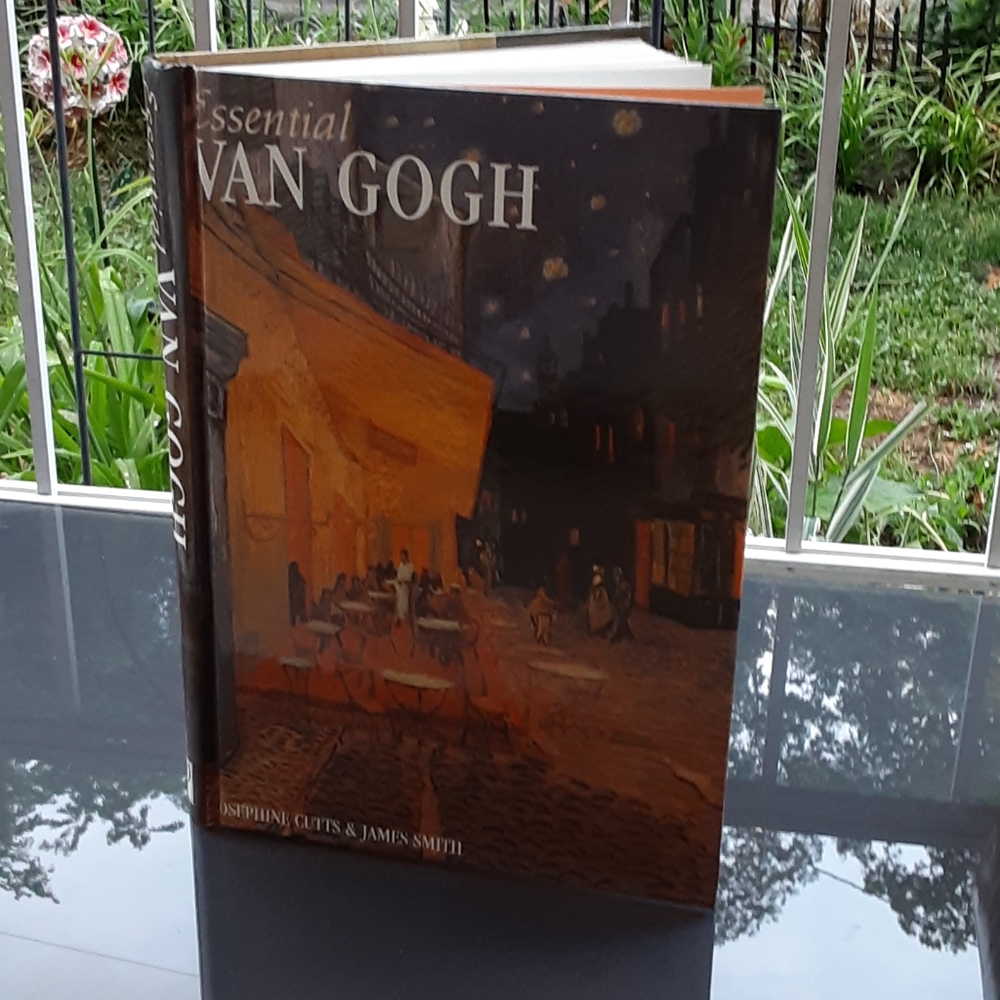 256page van Gogh's book